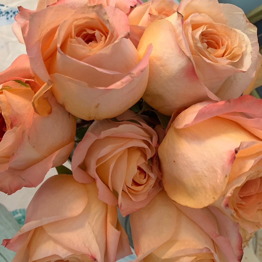 Meet your Posher, Jeanne marie